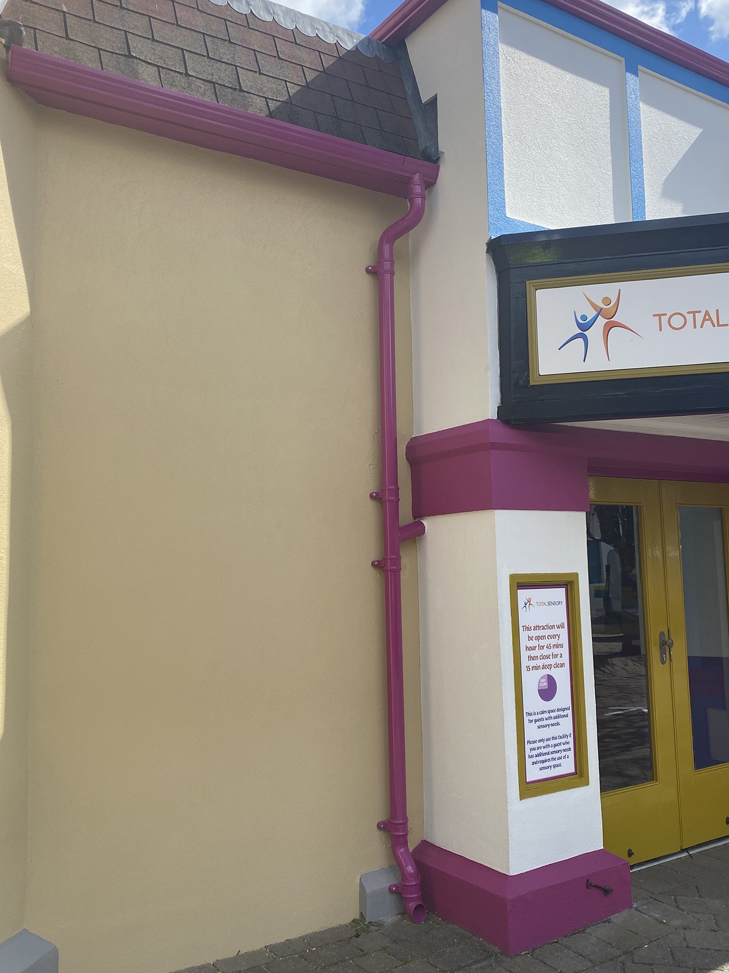 County Gutters Case Study Legoland Image 4