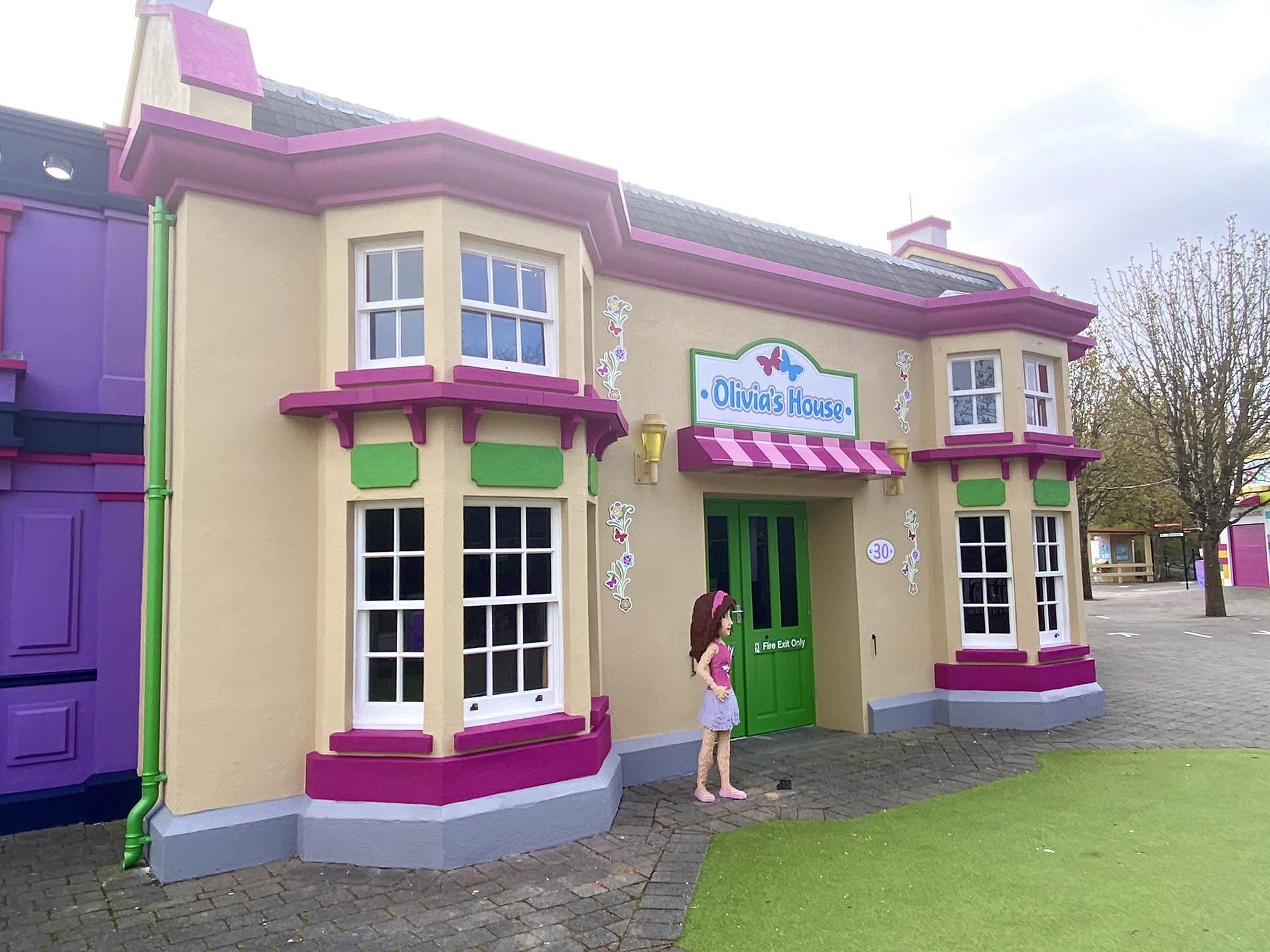 County Gutters Case Study Legoland Image 25