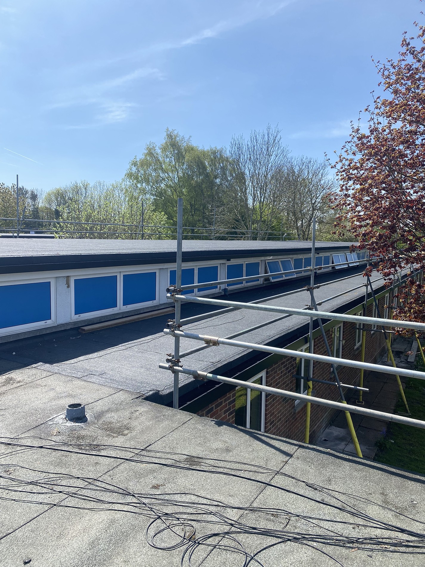 County Gutters News Weston Park Primary School Image 2
