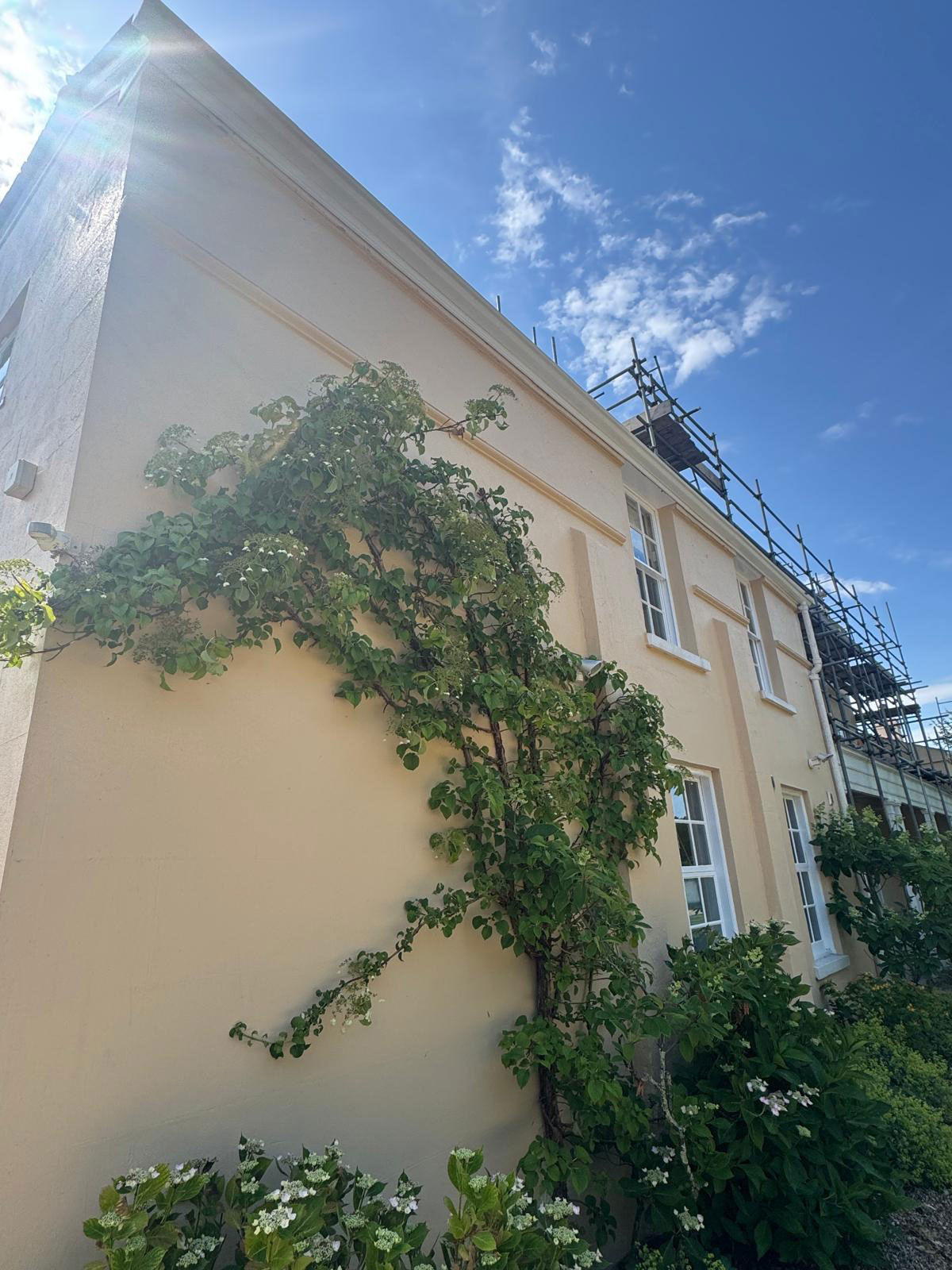 County Gutters News Ogee Cast Aluminium on New Forest Manor House Image 6