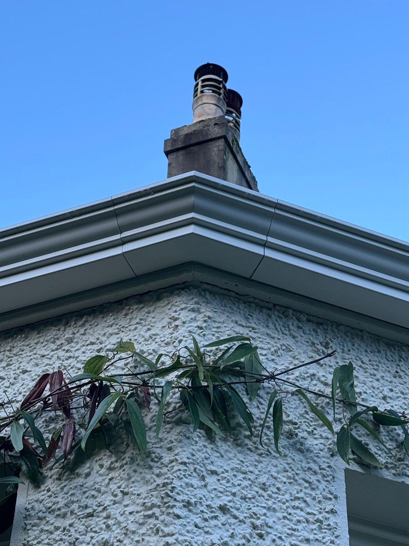 County Gutters News Rainwater goods replacement Image 2